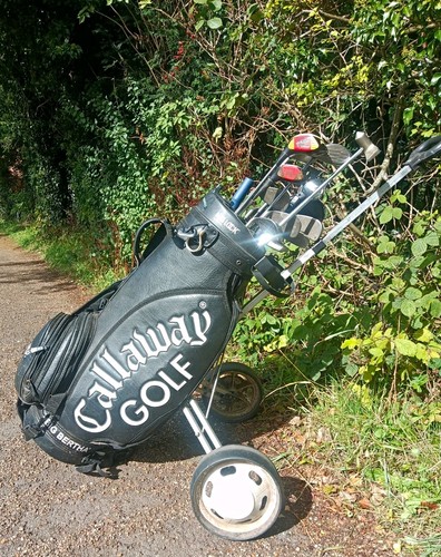 Callaway big bertha - callaway,